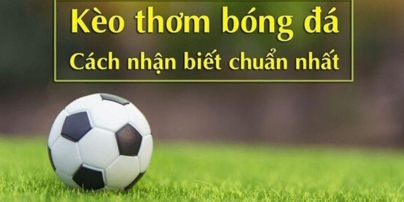 Kèo thơm - Giải mã chi tiết và hướng dẫn chọn hiệu quả