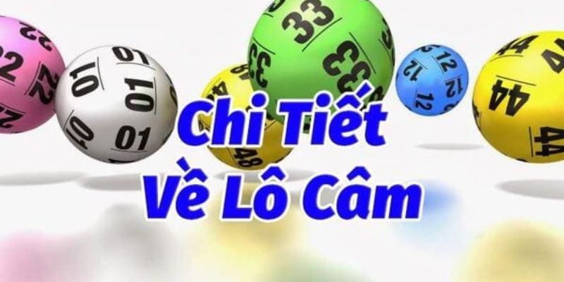 Lô Câm - Chia Sẻ Cách Soi Là Trúng Từ Cao Thủ W88